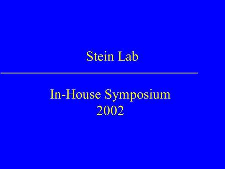 Stein Lab In-House Symposium 2002. The Plan  Overview of my lab’s activities  Detailed look at the Gramene Database  Run out of time  Talk really.
