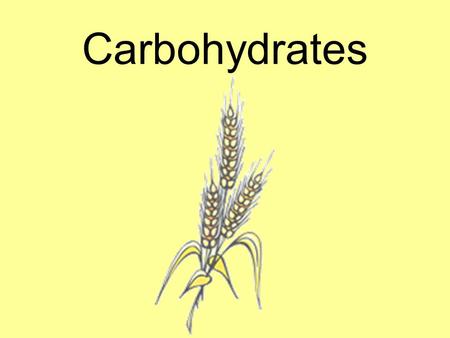 Carbohydrates. 1.We get most of our carbohydrates from the GRAINS group. 2.FRUITS and VEGETABLES are also a good source of carbohydrates. 3.Almost all.