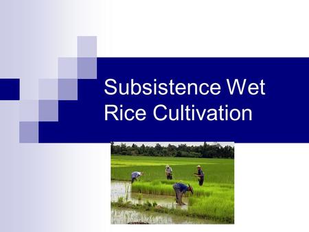 Subsistence Wet Rice Cultivation