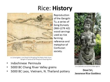 Rice: History Indochinese Peninsula 5000 BC Chang River Valley grains