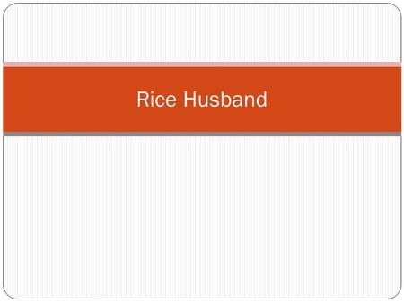 Rice Husband. American Translation Connection to Rice Husband: This part of the book illustrates how even though the daughters in the beginning are reluctant.