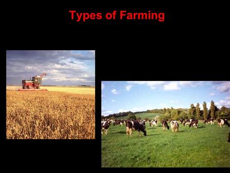 Types of Farming Commercial farming - the production of food for sale. Usually LARGE tracts of land. Capital Intensive – Use of Equipment over people.