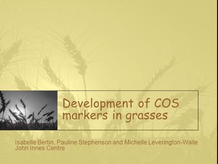 Development of COS markers in grasses Isabelle Bertin, Pauline Stephenson and Michelle Leverington-Waite John Innes Centre.