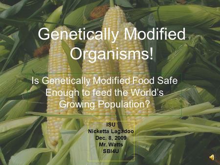Genetically Modified Organisms!