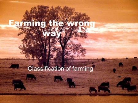 Farming the wrong way Classification of farming. Intensive vs Extensive  Intensive = small farm + large inputs per unit of land  Output per land is.