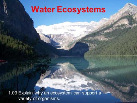 Water Ecosystems 1.03 Explain why an ecosystem can support a variety of organisms.