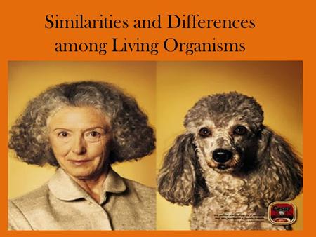 Similarities and Differences among Living Organisms.