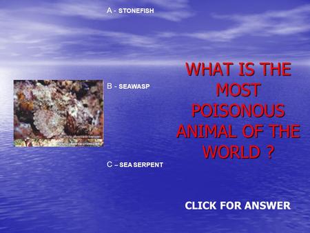 WHAT IS THE MOST POISONOUS ANIMAL OF THE WORLD ? A - STONEFISH B - SEAWASP C – SEA SERPENT CLICK FOR ANSWER.