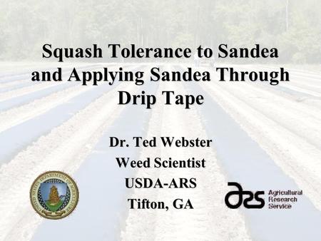 Squash Tolerance to Sandea and Applying Sandea Through Drip Tape Dr. Ted Webster Weed Scientist USDA-ARS Tifton, GA.