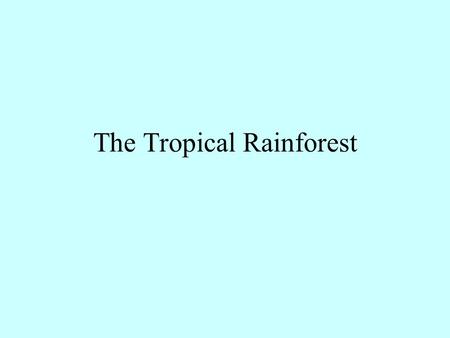 The Tropical Rainforest. What is the climate of the equatorial region? (or Tropical Rainforest)