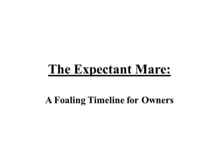 A Foaling Timeline for Owners