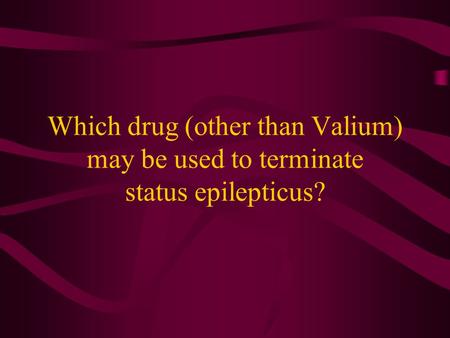Which drug (other than Valium) may be used to terminate status epilepticus?