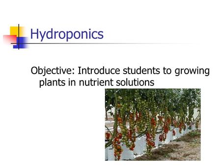 Hydroponics Objective: Introduce students to growing plants in nutrient solutions.
