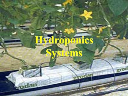 Hydroponics Systems.