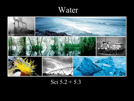 Water Sci 5.2 + 5.3. H 2 O necessary to all life ~70% of your body.