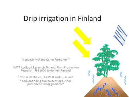 Drip irrigation in Finland Merja Myllys 1 and Osmo Purhonen 2* 1 MTT Agrifood Research Finland, Plant Production Research, FI-31600 Jokioinen, Finland.