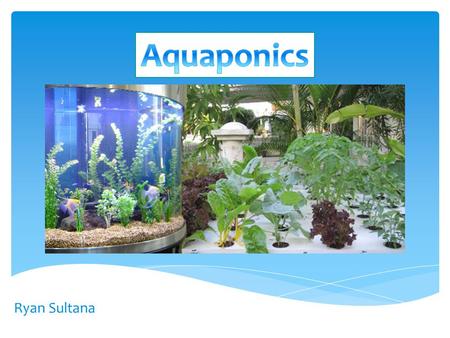 Ryan Sultana. What is Aquaponics? …‘Aquaponics is the art of growing food with fish poop’, Anonymous An integration of two systems: Hydroponics and Aquaculture.