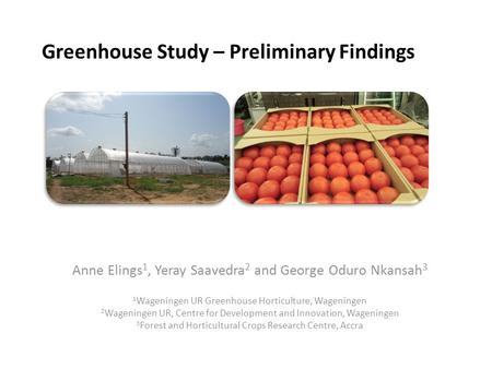 Greenhouse Study – Preliminary Findings Anne Elings 1, Yeray Saavedra 2 and George Oduro Nkansah 3 1 Wageningen UR Greenhouse Horticulture, Wageningen.