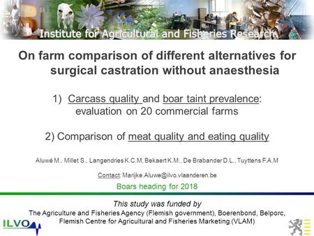 On farm comparison of different alternatives for surgical castration without anaesthesia 1)Carcass quality and boar taint prevalence: evaluation on 20.