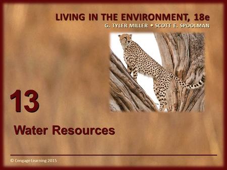 13 Water Resources.