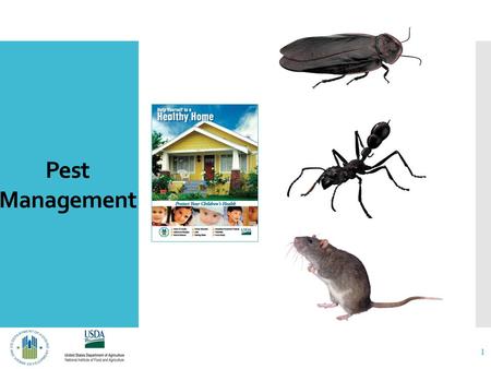 Pest Management 1. Help Yourself to a Healthy Home  Indoor Air Quality  Asthma & Allergies  Mold & Moisture  Carbon Monoxide  Lead  Drinking Water.