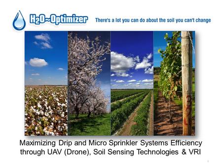 1 Maximizing Drip and Micro Sprinkler Systems Efficiency through UAV (Drone), Soil Sensing Technologies & VRI.