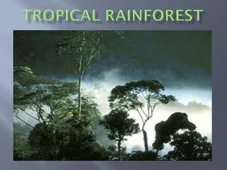 Tropical rainforests are found closer to the equator where it is warm.