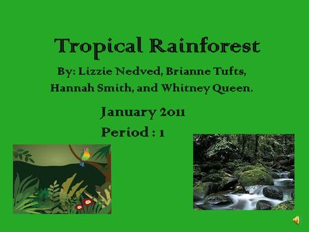 Tropical Rainforest By: Lizzie Nedved, Brianne Tufts, Hannah Smith, and Whitney Queen. January 2011 Period : 1.