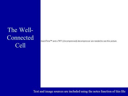 The Well- Connected Cell Text and image sources are included using the notes function of this file.