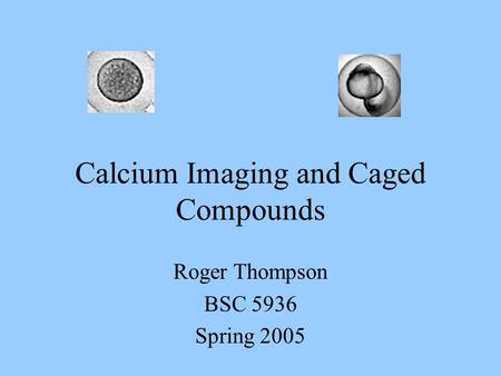 Calcium Imaging and Caged Compounds Roger Thompson BSC 5936 Spring 2005.