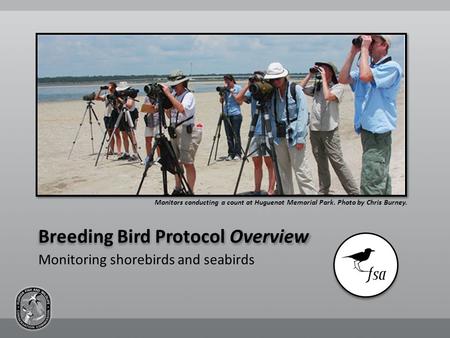 Breeding Bird Protocol Overview Monitors conducting a count at Huguenot Memorial Park. Photo by Chris Burney. Monitoring shorebirds and seabirds.