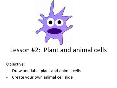 Lesson #2: Plant and animal cells