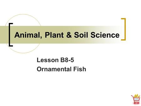 Animal, Plant & Soil Science Lesson B8-5 Ornamental Fish.