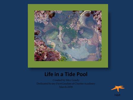 Life in a Tide Pool Created by Mrs. Grady Dedicated to my First Graders at Chester Academy March 2008 next.