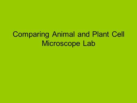 Comparing Animal and Plant Cell Microscope Lab