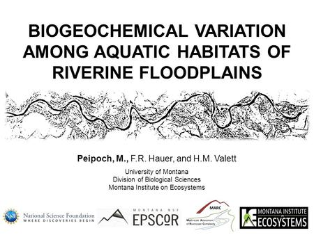 Peipoch, M., F.R. Hauer, and H.M. Valett University of Montana Division of Biological Sciences Montana Institute on Ecosystems BIOGEOCHEMICAL VARIATION.