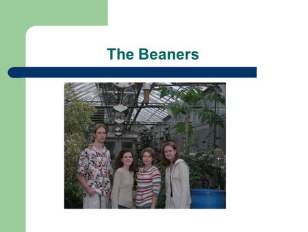 The Beaners. Abstract In our study we are conducting a test with chemical and organic fertilizers. We feel this study plays a large role in the present.