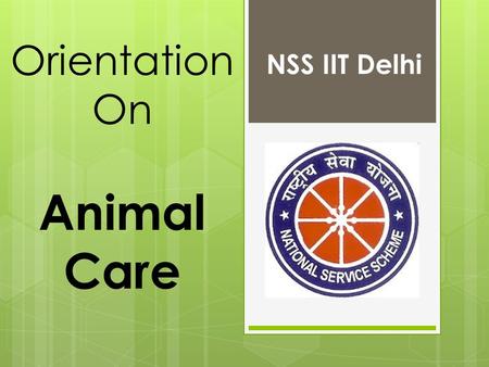 Orientation On Animal Care NSS IIT Delhi. Disclaimer:  No Mobiles!  No Books!  No talking!  This session contains scenes that some viewers may find.