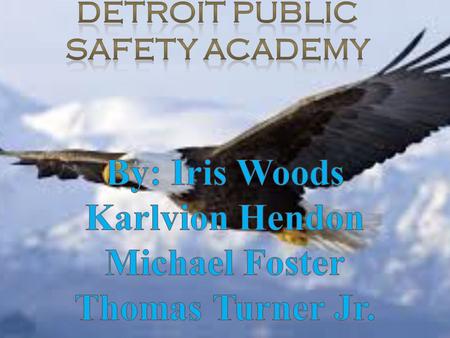  School Name: Detroit Public Safety Academy  Location: 1250 Rosa Parks Blvd. Detroit, MI 48216  Phone: (313) 965-5916  Fax: (313) 965-6938  Website: