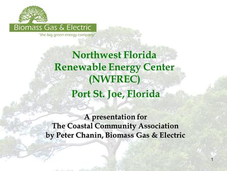 1 Northwest Florida Renewable Energy Center (NWFREC) Port St. Joe, Florida A presentation for The Coastal Community Association by Peter Chanin, Biomass.