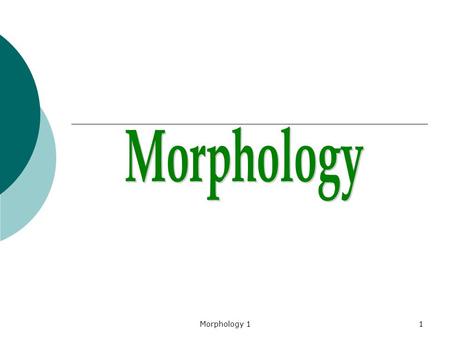Morphology Morphology 1.