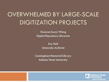 Overwhelmed by Large-scale Digitization Projects