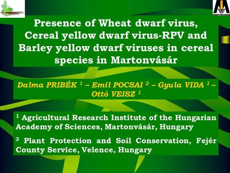 Presence of Wheat dwarf virus, Cereal yellow dwarf virus-RPV and Barley yellow dwarf viruses in cereal species in Martonvásár Dalma PRIBÉK 1 – Emil POCSAI.
