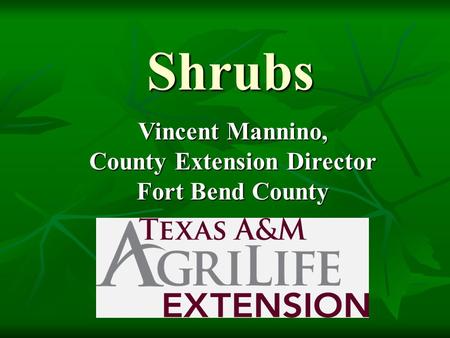 Shrubs Vincent Mannino, County Extension Director Fort Bend County.