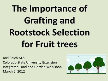 The Importance of Grafting and Rootstock Selection for Fruit trees