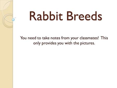 Rabbit Breeds You need to take notes from your classmates! This only provides you with the pictures.