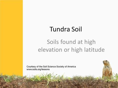 Tundra Soil Soils found at high elevation or high latitude.