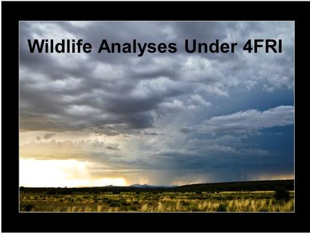 Wildlife Analyses Under 4FRI. “Wildlife” as defined by Federal Laws, Regulations, & Policy: Endangered Species Regional Forester’s Sensitive Species Regional.
