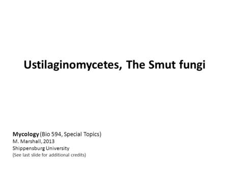 Mycology (Bio 594, Special Topics) M. Marshall, 2013 Shippensburg University (See last slide for additional credits) Ustilaginomycetes, The Smut fungi.