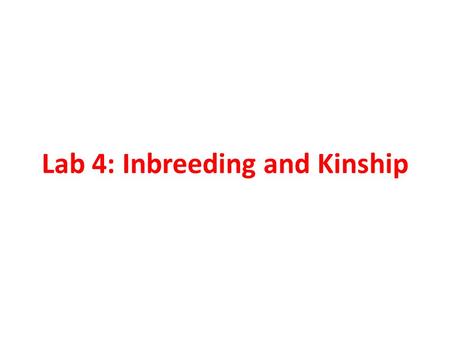 Lab 4: Inbreeding and Kinship. Inbreeding Causes departure from Hardy-Weinburg Equilibrium Reduces heterozygosity Changes genotype frequencies Does not.
